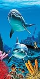 Review sbdesigns  / Dolphins Faces Terry Velour Beach/Bath Towel