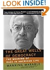 The Great Wells Of Democracy: The Meaning Of Race In American Life