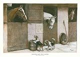 Novices and Old Hands by Cecil Aldin. Size 24.00 X 16.00 Art Poster Print