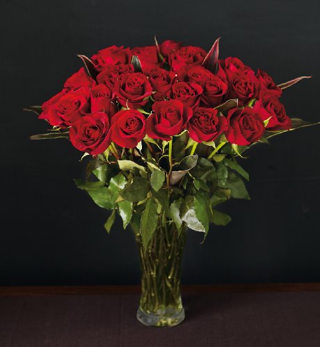 Autograph&trade; Black Magic&Acirc;&reg; Roses Bouquet