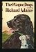 The Plague Dogs (Hardcover)