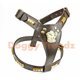 Brown Leather Dog Harness Brass Studded Staffordshire Bull Terrier Staffy