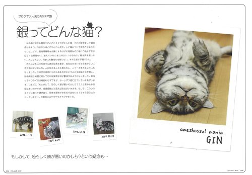 Cover image : アメショっす！マニア