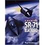 SR-71 Blackbird -Cmbt Leg (Combat Legends)