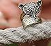 Epiestore(TM) European and American retro cute little fox enchanting animals influx of people ring (random color)