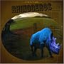Rhinoceros
