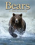 Bears: A Year in the Life