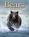 Bears: A Year in the Life