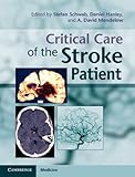 Critical care of the stroke patient