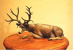 Overlook Buck