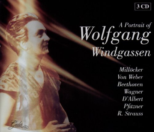Produkt-Bild: A Portrait of Wolfgang Windgassen