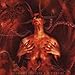 Dark Funeral, Diabolis Interium [12 inch Analog], 発売中