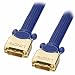 Confronta prezzi Lindy  DVI-D Dual Link, 10m