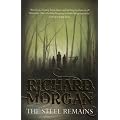 The Steel Remains
