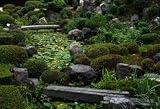 Japanese Gardens - DIY Or Professional Design ? Plus Tools You will Need
