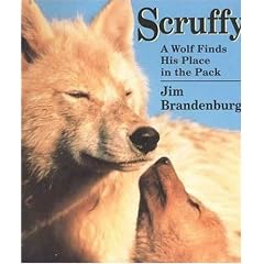 Scruffy: A Wolf Finds His Place in the Pack