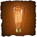 60 Watt - Vintage Antique Light Bulb - S21 Edison Style - Hand Wound Tungsten Filament - Multiple Supports - Clear
