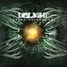 Delight-Breaking Ground