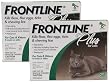 Frontline Plus for Cats 12 month