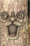 Old Man Tree Face Bird Feeder