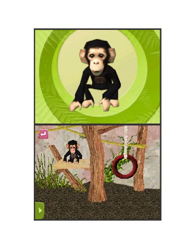 Mein eigener Tierbaby-Zoo