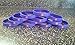 GLOW IN THE DARK - CAPTAIN AMERICA Kids Bracelets and Birthday Party Favors (10)