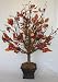 28 inches Fall Berry Tree Bush