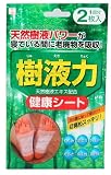 Kokubo JYUEKIRYOKU Japanese Detox Foot Pads - 1 Treatment (1 Pack, 2 Pads)