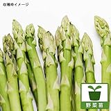アスパラガス：メリーワシントン3号ポット 4株セット