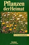 Produkt-Bild: Pflanzen der Heimat: Bestimmungsbuch f&uuml;r jedermann: Bestimmen und Erkennen. F&uuml;r das Gebiet von Mecklenburg-Vorpommern, Brandenburg und Berlin, Sachsen-Anhalt, Th&uuml;ringen und Sachsen