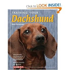 Training Your Dachshund