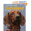 Training Your Dachshund (Training Your Dog)