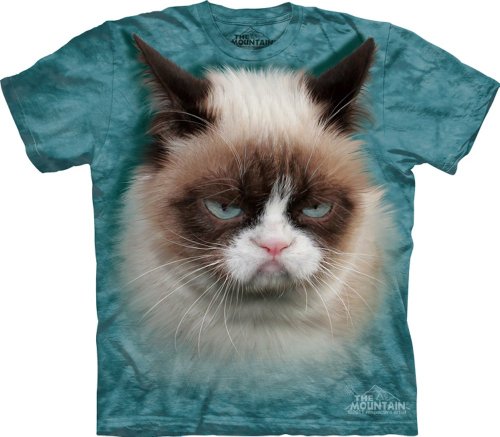 The Mountain Men’s Grumpy The Cat T-Shirt, Teal, Medium