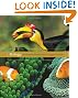 Volume 6 - Ecology and Behavior (Biology: The Unity and Diversity of Life) (v. 6)