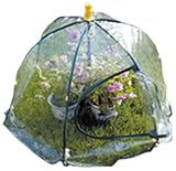 Outdoor Decor Easy Up Small Green House