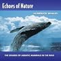 Echoes Of Nature: Humpback Whales