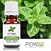 Peppermint Essential Oil 10 ml (0.33 fl. Oz.) - GCMS Tested, 100% Pure and Undiluted