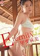 �u�b�㖃���@�d��������������[SBVD-0041][DVD]�v