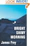 Bright Shiny Morning