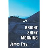 Bright Shiny Morningby James Frey
