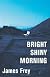 Bright Shiny Morning