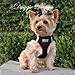 CHOKE FREE REFLECTIVE STEP IN ULTRA HARNESS - BLACK - AMERICAN RIVER (XXS) by Doggie Design