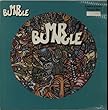 Mr Bungle