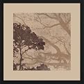 Morning Mist I Wall Art - 16 x 16"