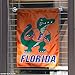 College Flags & Banners Co. Florida Gators Albert Mascot Garden Flag