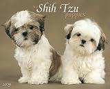 Just Shih Tzu Puppies 2009 Calendar (Just)