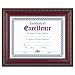 Dax World Class Document Frame with Certificate, Rosewood, 8 1/2 x 11 Inches (N3245N3T)