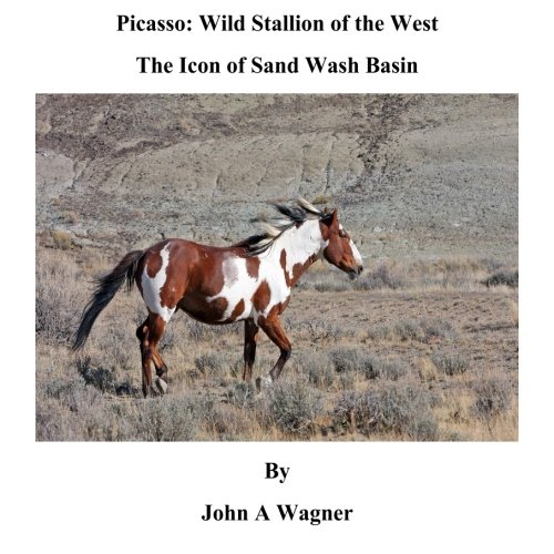 Picasso: Wild Stallion of the West: The Icon of Sand Wash Basin, by John A Wagner Picasso: Wild Stallion of the West: The Icon of Sand Wash Basin, by John A Wagner