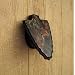Camo Arrowhead European Mount Pedestal Plaque