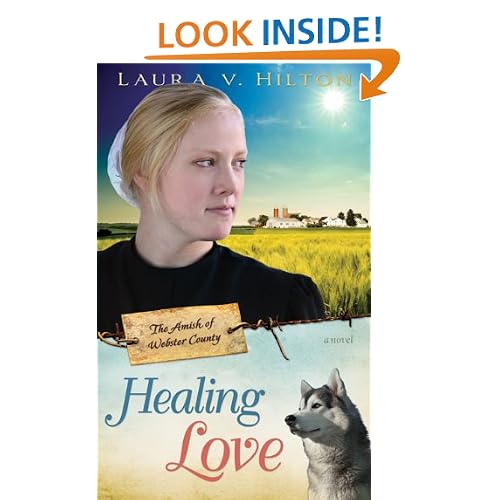 Healing Love (Amish Of Webster County Volume 1)